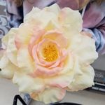 Cheri Carroll - @cheri.carroll11 - Instagram