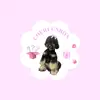 CheriUnbox - @_cheridaily_ - TikTok