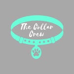 Cheri Davis - @thecollarcrew - Instagram