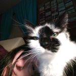 Cheri Davis - @cheridavis1044 - Instagram