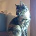 Cheri Edwards - Facebook