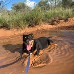 Cherie Ferguson - Facebook