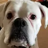cheriferguson3 - @cheriferguson3 - TikTok