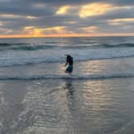 Cheri Harlow Greene - @mofotexas22 - Instagram