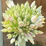 Cheri Hall - @cheri.hall.750 - Instagram