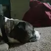 Cheri Hancock - @cheri.hancock - TikTok