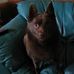 Cherie Hancock - Facebook