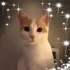 Cheri Higgins332 - @cherihiggins2 - TikTok