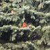 Cheri Johns - Facebook
