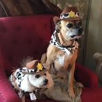 Cheri Johns - Facebook
