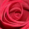 Cherie Johns - @cherie.johns - TikTok