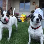 Cheri Knapp - @knapcr - Instagram