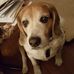 Cheri Leach - Facebook