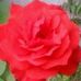 Cheri Long - Facebook