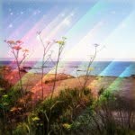 Cheri Mitchell - @roadrunner808 - Instagram