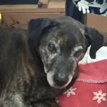 Cheri Mitchell - @cheri.mitchell.376 - Instagram