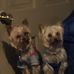 Cheri Mitchell - Facebook