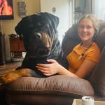 Rottweiler Von HollowHaus - @cheri.mitchell - Instagram