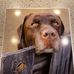 Cheri Olson - Facebook