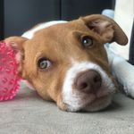 Cherie Walsh - @cherie.ford2 - Instagram