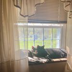 Cherie Walsh - @cherie_walsh_ - Instagram
