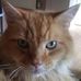 Cherie Field - Facebook