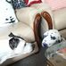 Cherie Green - Facebook