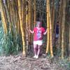 cheriehowell952 - @cheriehowell952 - TikTok