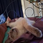 Cherie Murphy - @cheriemurphy65 - Instagram