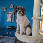 Cherie Murphy Bowen - Facebook