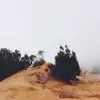 CherieMurphy1107 - @cheriemurphy1107 - TikTok