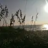 cheriemurphy7 - @cheriemurphy7 - TikTok