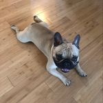 Cherie Parker - @cparker1012 - Instagram