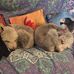 Cherie Parker - Facebook