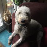 Cherie Parker - @cherie.parker.3348 - Instagram