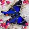 cheriepatterson80 - @cheriepatterson80 - TikTok
