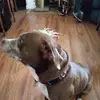 cheriepayne6 - @cheriepayne6 - TikTok