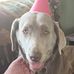 Cherie Pierce - Facebook