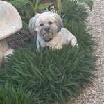 Cherie Russell Merrell - @glam_ma_glitter - Instagram