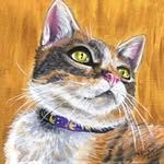 Cherie Taylor - @cherietaylorstudio - Instagram
