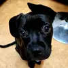 Cherie Taylor - @cherietaylor1234 - TikTok