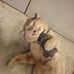 Sunderman Cherise - Facebook