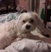 Cherish Jones - Facebook