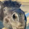 Cherish Roberts95 - @the_life_of_bry - TikTok
