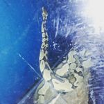 Cherokee Hall - @cherokee_hall - Instagram