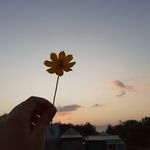 Anh Dao - @cherri._.berry_ - Instagram