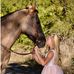 Cherri Brown - Facebook