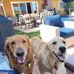 Cherri Moats Gregg - Facebook