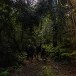 SUN - @cherriehill - Instagram