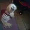 Cherrie Lawrence - @cherrie.lawrence - TikTok